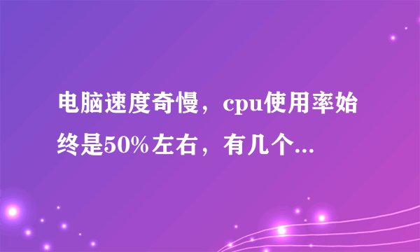 电脑速度奇慢，cpu使用率始终是50%左右，有几个进程不知道是干什么的，请指教！