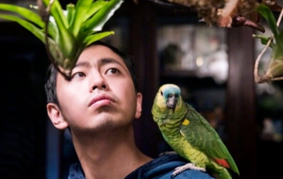 最强大脑王昱珩看扇子是哪一期？