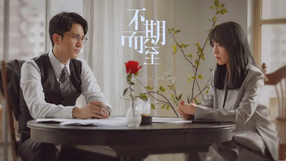 不期而至电视剧结局