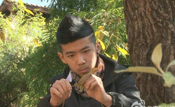 谁有以下变形计里的人的照片。魏程】刘轶群。孔令志。布来恩纳比尔。胡耿。苏磊。陈诚。熊正伟。金达世杰