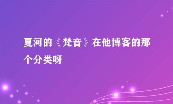 夏河的《梵音》在他博客的那个分类呀
