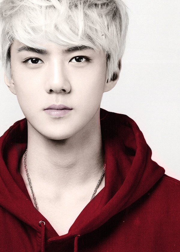 exo12成员名字和照片