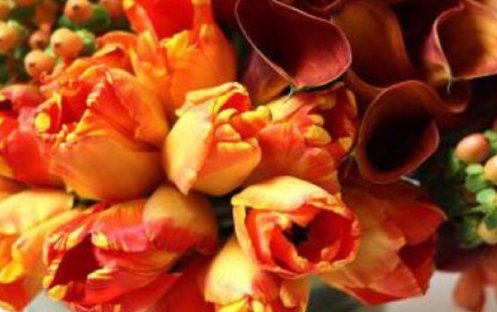 高考结束，给孩子送什么花好呢？