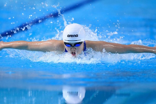 哪种游泳又被称为海豚泳