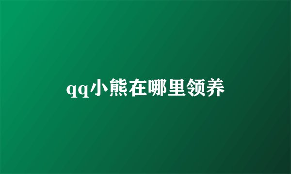qq小熊在哪里领养