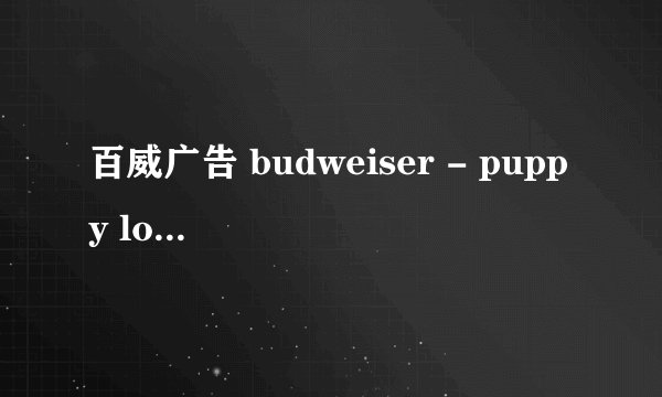百威广告 budweiser - puppy love 歌名是什么
