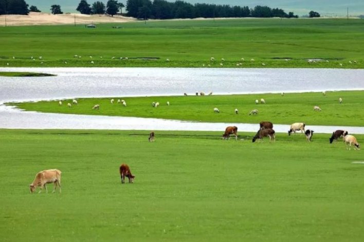 盘桓的意思解释