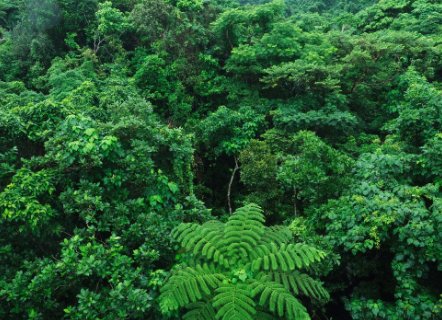 广西14岁女孩上山采药失踪3天后获救,失踪的这三天发生了什么?