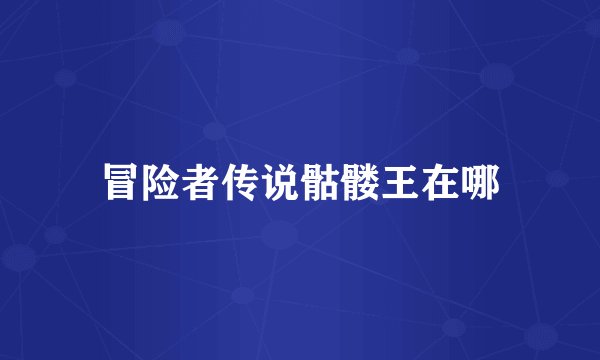 冒险者传说骷髅王在哪