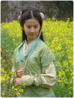 林月如最终结局