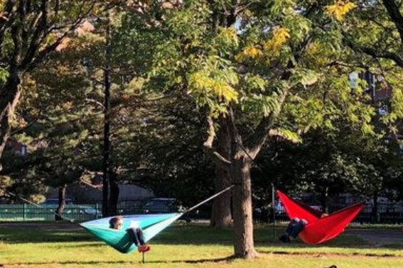 用一段话表现出悠然自得的情景