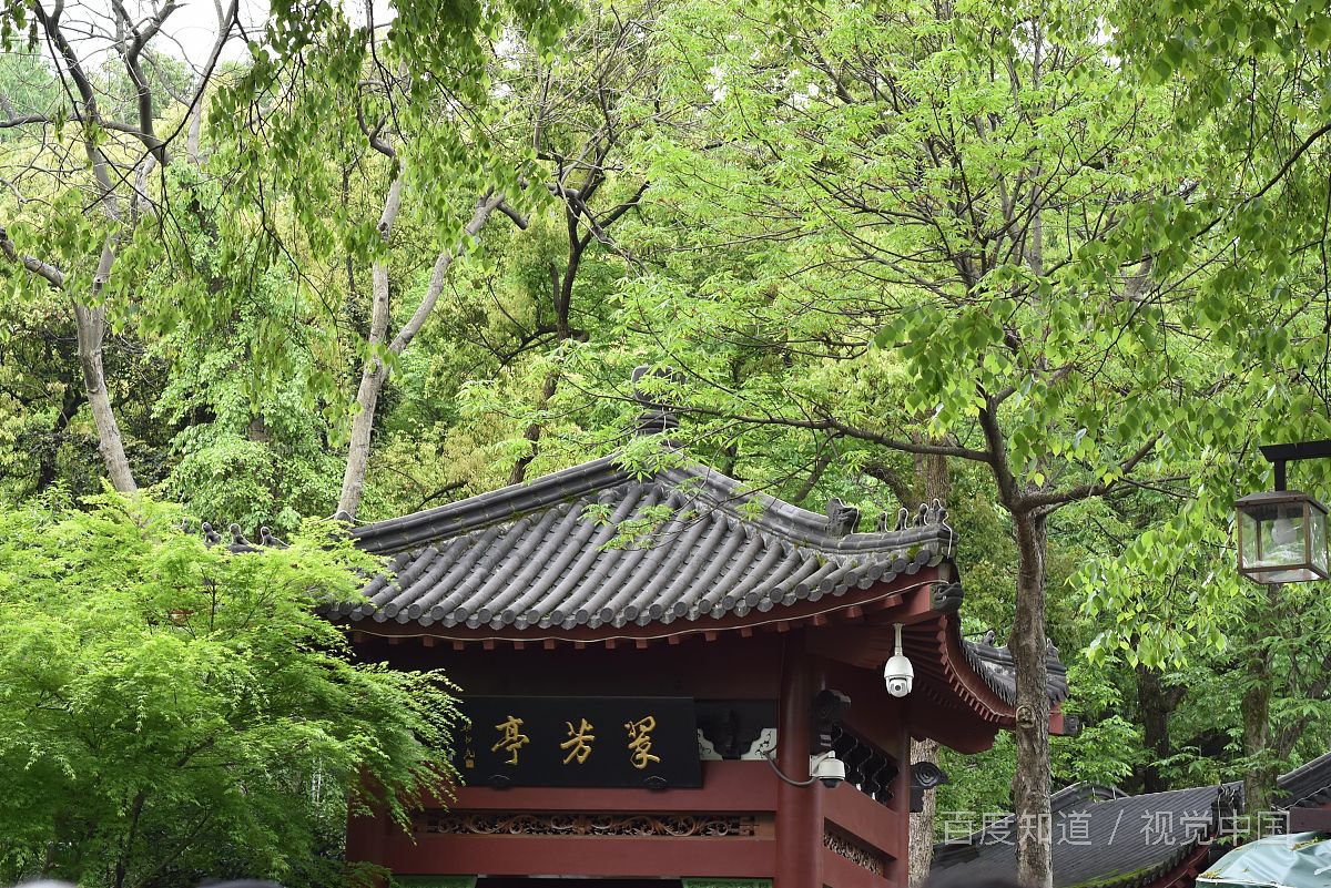 你坐电梯时最反感哪些行为？