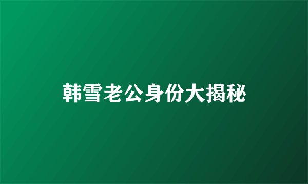 韩雪老公身份大揭秘