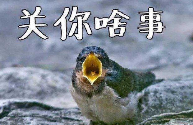 别人说你管太宽了怎么回答?