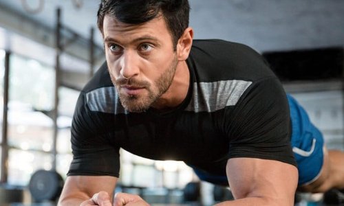 muscles是什么意思