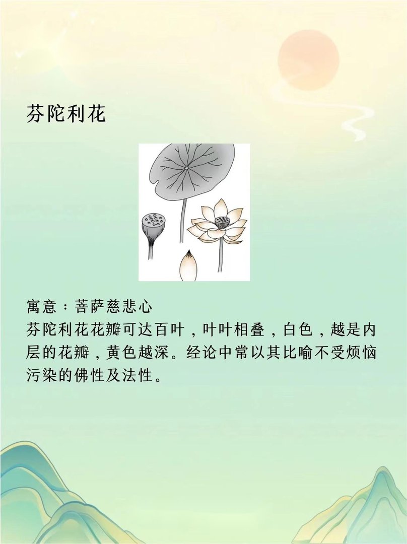天花乱坠是什么意思？？