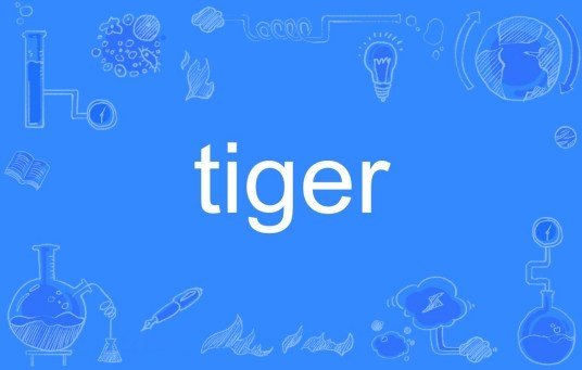 老虎用英语
