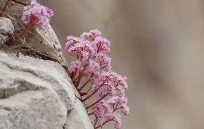 怎么看待中科院老科学家住13平米筒子楼的现象？