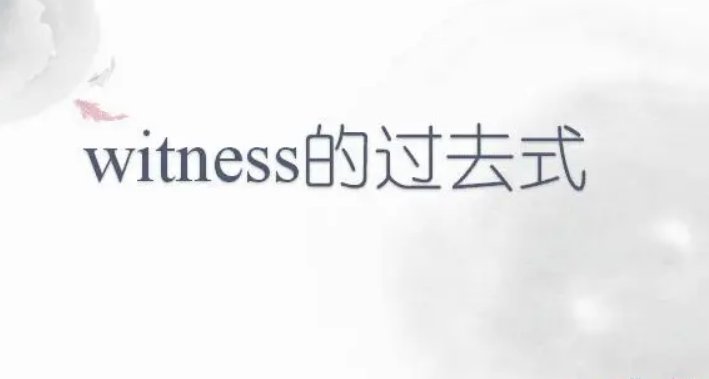 witnessed怎么读
