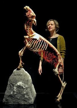 冈瑟·冯·哈根斯的争议人物