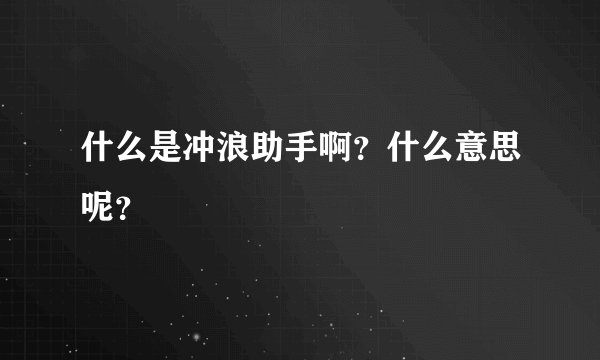 什么是冲浪助手啊？什么意思呢？