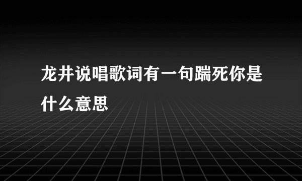 龙井说唱歌词有一句踹死你是什么意思