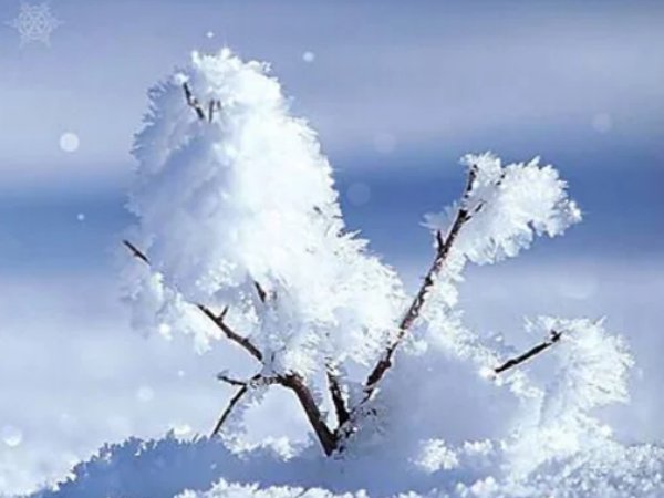 白色有哪几种白