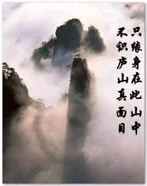 不识庐山真面目只缘身在此山中――打一成语