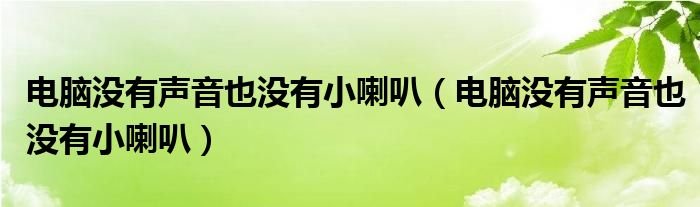 电脑没有声音也没有小喇叭电脑没有声音也没有小喇叭
