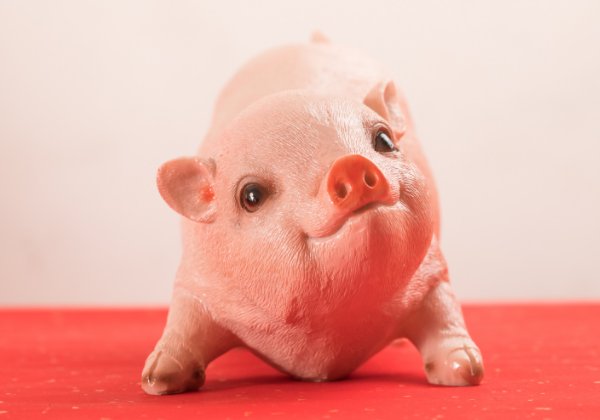 命里带金的4大生肖,注定一生不凡