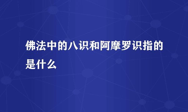 佛法中的八识和阿摩罗识指的是什么