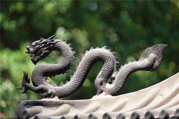 夜猫口神龙事件，龙的存在是否存在过？