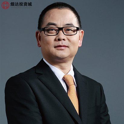 杨定平的人物履历