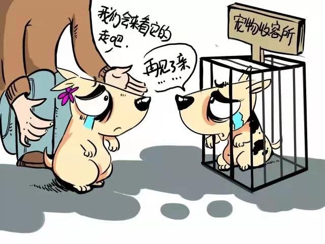 济南拟新规，遗弃犬只罚款2000元，你觉得这么罚合理吗？