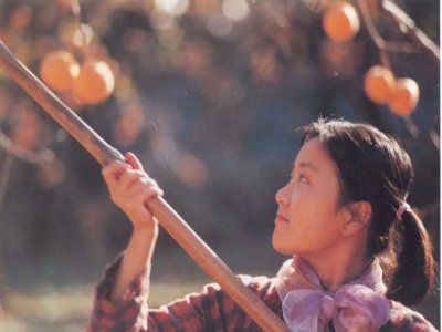 哦香雪语言特点