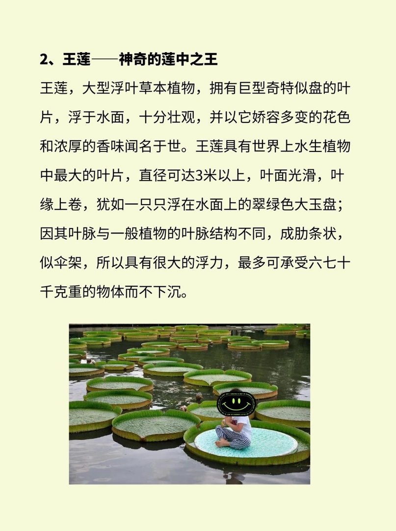 植物界有哪些活化石？