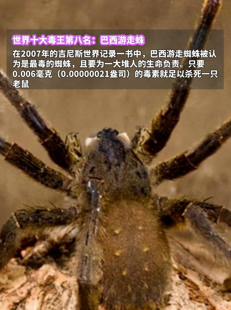 世界十大毒王，排名第一毋庸置疑