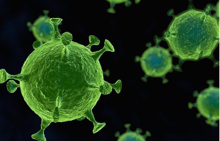 小浩有什么寓意