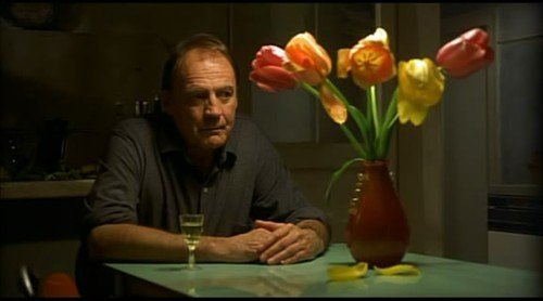 逐梦郁金香的发行公司