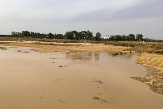 浊的拼音怎么写