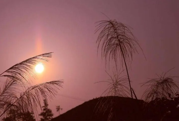 历久弥新的拼音