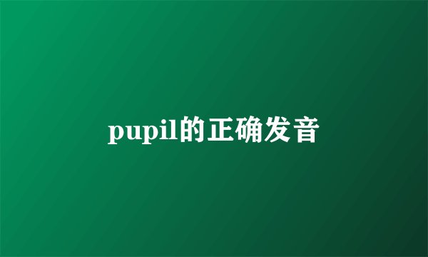 pupil的正确发音