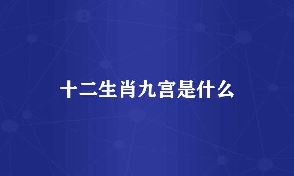 十二生肖九宫是什么