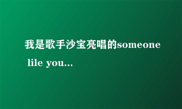 我是歌手沙宝亮唱的someone lile you 的歌词，一定要是在我是歌手舞台上的那种翻译