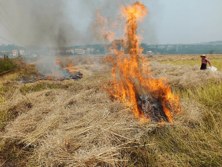 农村禁止的5种行为
