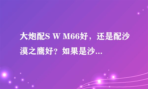 大炮配S W M66好，还是配沙漠之鹰好？如果是沙漠之鹰，买白银还是青铜好？ 配什么进身武器？