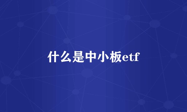 什么是中小板etf