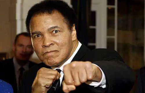 世界重量级拳王排名