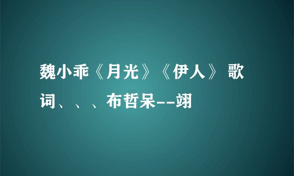 魏小乖《月光》《伊人》 歌词、、、布哲呆--翊
