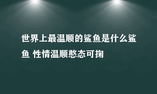 世界上最温顺的鲨鱼是什么鲨鱼 性情温顺憨态可掬